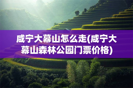 咸宁大幕山怎么走(咸宁大幕山森林公园门票价格)