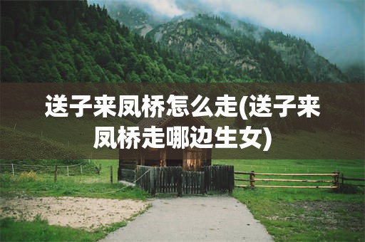 送子来凤桥怎么走(送子来凤桥走哪边生女)
