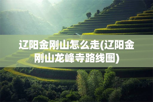 辽阳金刚山怎么走(辽阳金刚山龙峰寺路线图)
