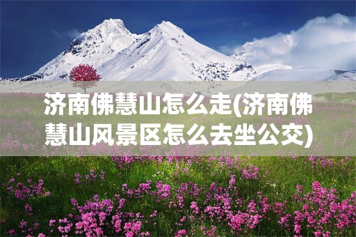 济南佛慧山怎么走(济南佛慧山风景区怎么去坐公交)