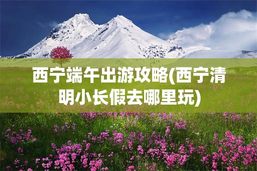 西宁端午出游攻略(西宁清明小长假去哪里玩)