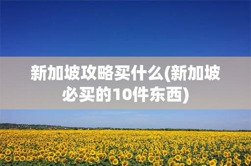 新加坡攻略买什么(新加坡必买的10件东西)