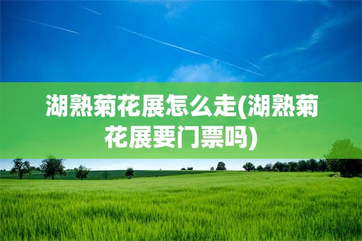 湖熟菊花展怎么走(湖熟菊花展要门票吗)