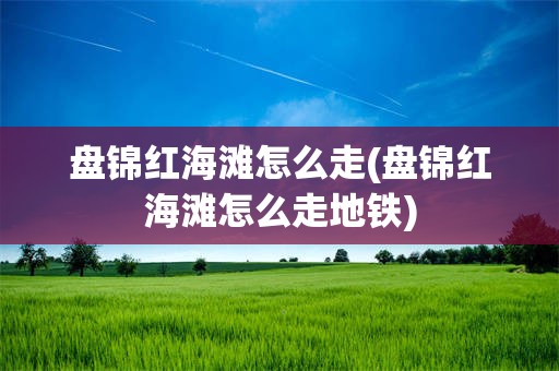 盘锦红海滩怎么走(盘锦红海滩怎么走地铁)