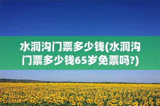 水洞沟门票多少钱(水洞沟门票多少钱65岁免票吗?)