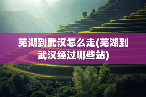芜湖到武汉怎么走(芜湖到武汉经过哪些站)