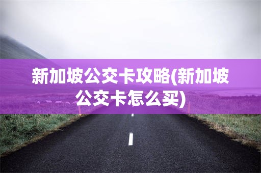 新加坡公交卡攻略(新加坡公交卡怎么买)