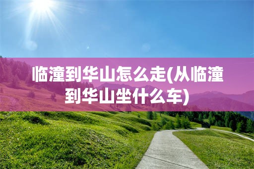 临潼到华山怎么走(从临潼到华山坐什么车)