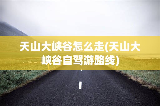 天山大峡谷怎么走(天山大峡谷自驾游路线)