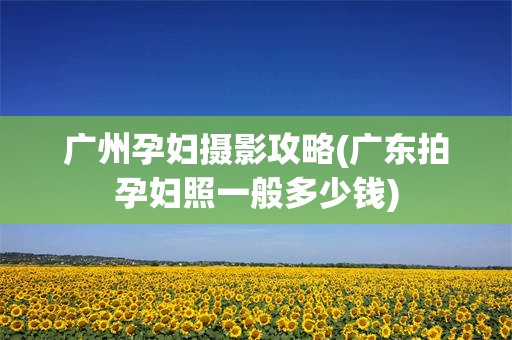 广州孕妇摄影攻略(广东拍孕妇照一般多少钱)