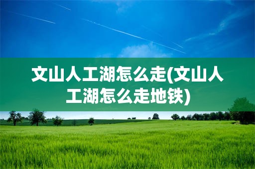 文山人工湖怎么走(文山人工湖怎么走地铁)