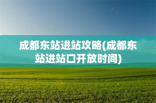 成都东站进站攻略(成都东站进站口开放时间)