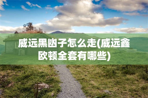 威远黑凼子怎么走(威远鑫欧顿全套有哪些)