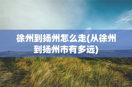 徐州到扬州怎么走(从徐州到扬州市有多远)