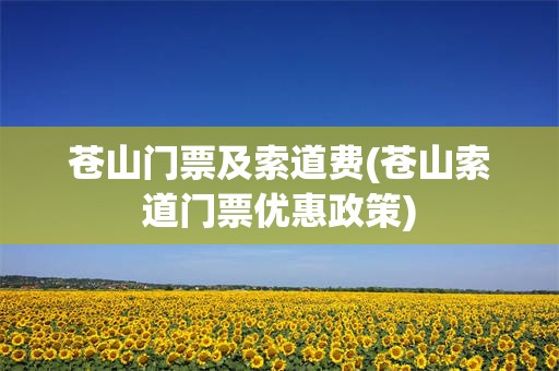 苍山门票及索道费(苍山索道门票优惠政策)