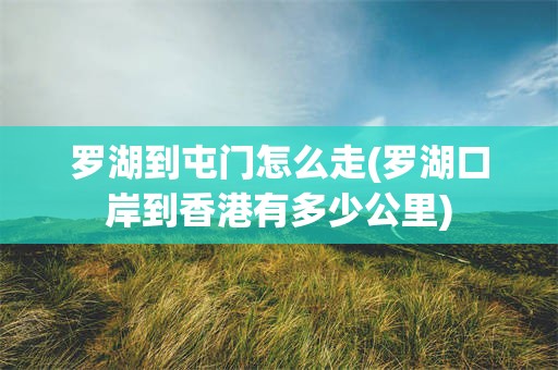 罗湖到屯门怎么走(罗湖口岸到香港有多少公里)