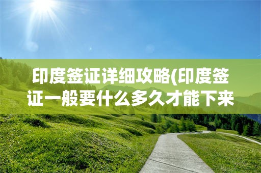 印度签证详细攻略(印度签证一般要什么多久才能下来)