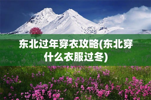 东北过年穿衣攻略(东北穿什么衣服过冬)
