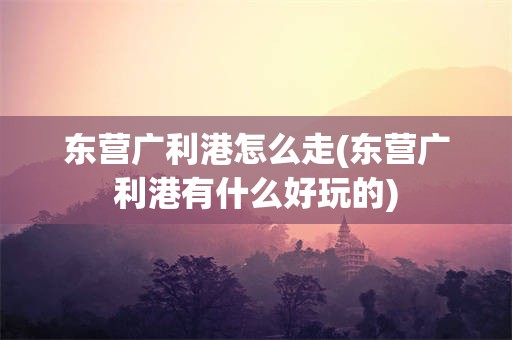 东营广利港怎么走(东营广利港有什么好玩的)