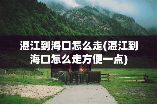 湛江到海口怎么走(湛江到海口怎么走方便一点)