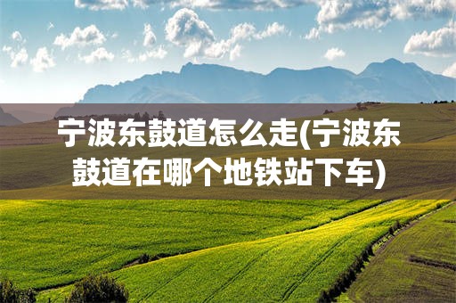 宁波东鼓道怎么走(宁波东鼓道在哪个地铁站下车)