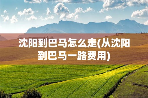 沈阳到巴马怎么走(从沈阳到巴马一路费用)
