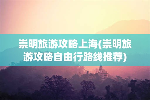 崇明旅游攻略上海(崇明旅游攻略自由行路线推荐)