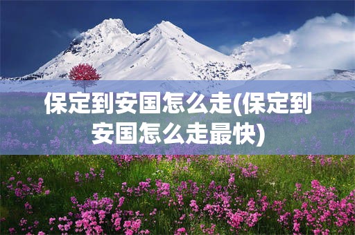 保定到安国怎么走(保定到安国怎么走最快)