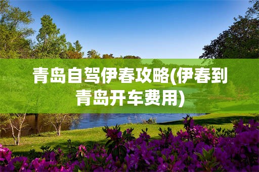 青岛自驾伊春攻略(伊春到青岛开车费用)