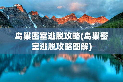 鸟巢密室逃脱攻略(鸟巢密室逃脱攻略图解)