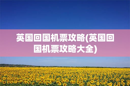 英国回国机票攻略(英国回国机票攻略大全)