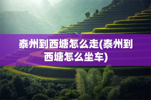 泰州到西塘怎么走(泰州到西塘怎么坐车)