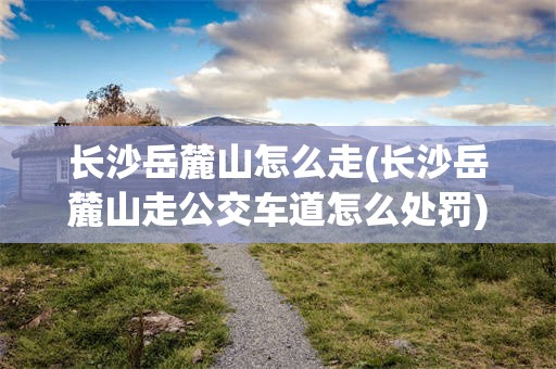 长沙岳麓山怎么走(长沙岳麓山走公交车道怎么处罚)