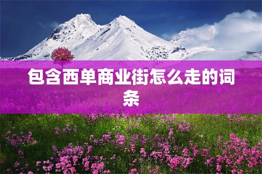 包含西单商业街怎么走的词条