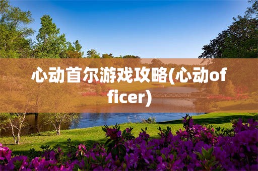 心动首尔游戏攻略(心动officer)
