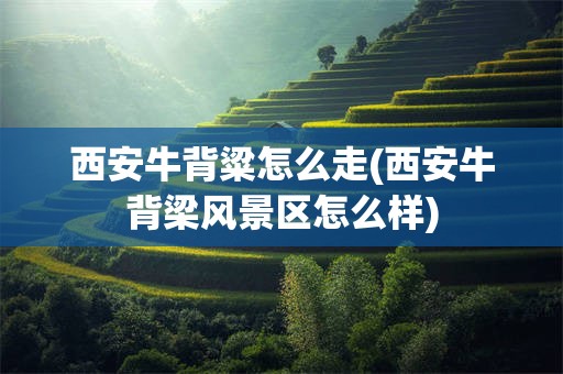 西安牛背粱怎么走(西安牛背梁风景区怎么样)