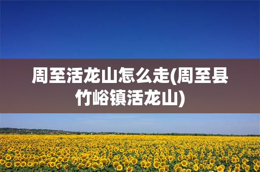 周至活龙山怎么走(周至县竹峪镇活龙山)