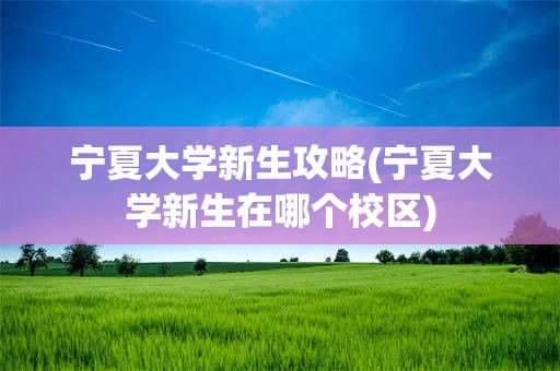 宁夏大学新生攻略(宁夏大学新生在哪个校区)