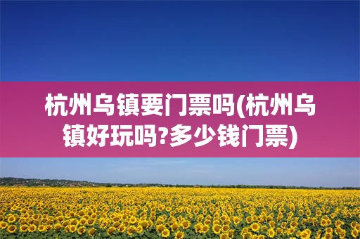 杭州乌镇要门票吗(杭州乌镇好玩吗?多少钱门票)
