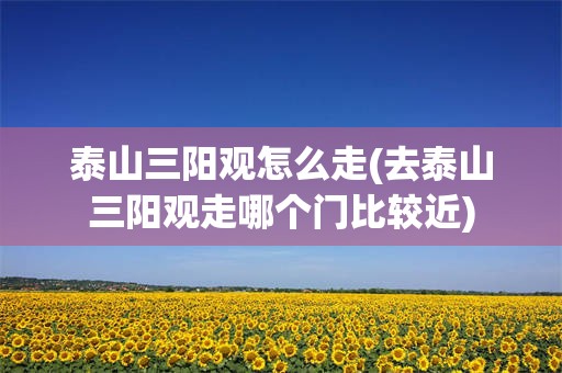 泰山三阳观怎么走(去泰山三阳观走哪个门比较近)