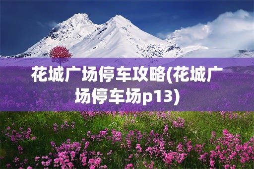 花城广场停车攻略(花城广场停车场p13)