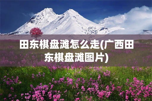 田东棋盘滩怎么走(广西田东棋盘滩图片)