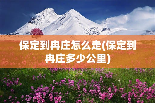 保定到冉庄怎么走(保定到冉庄多少公里)