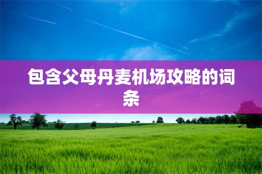 包含父母丹麦机场攻略的词条