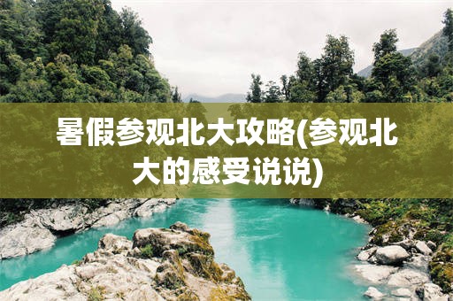 暑假参观北大攻略(参观北大的感受说说)