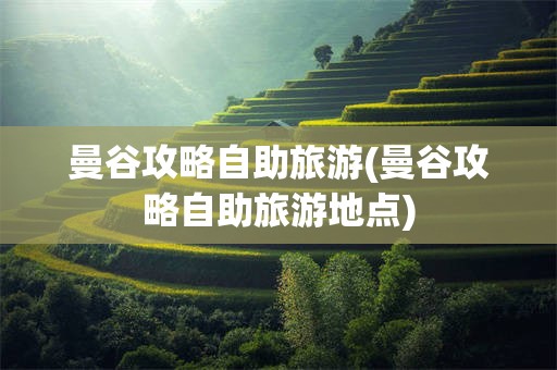 曼谷攻略自助旅游(曼谷攻略自助旅游地点)