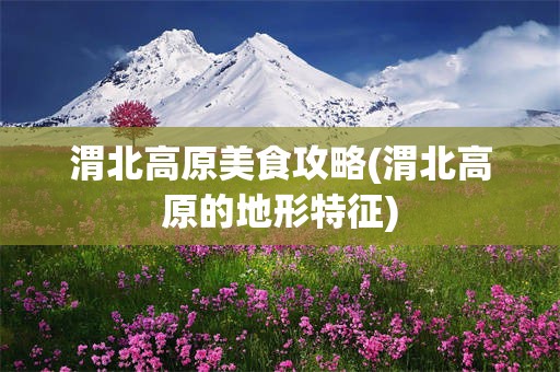 渭北高原美食攻略(渭北高原的地形特征)