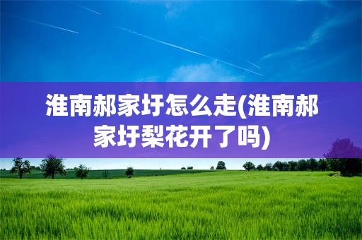 淮南郝家圩怎么走(淮南郝家圩梨花开了吗)