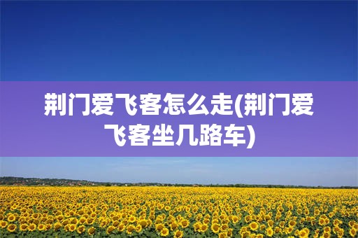 荆门爱飞客怎么走(荆门爱飞客坐几路车)