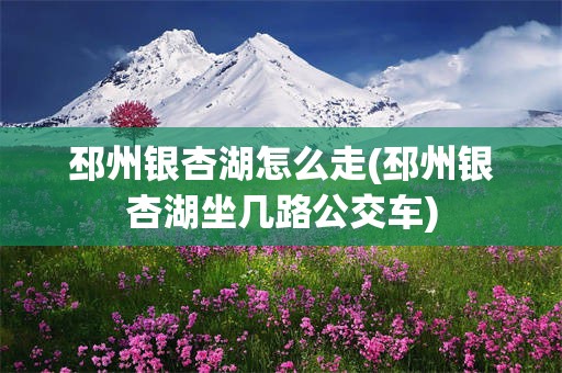 邳州银杏湖怎么走(邳州银杏湖坐几路公交车)